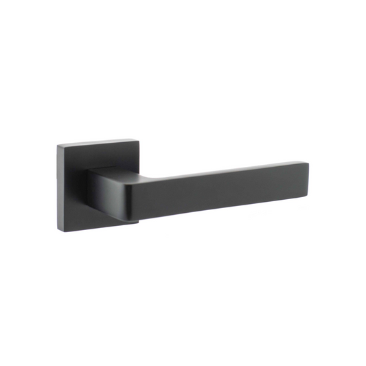 Montana Black Handle Pair